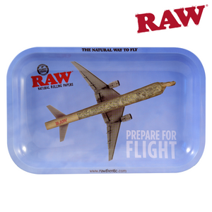 Raw Ashtray Large Size - Trendies Smoke and Vape