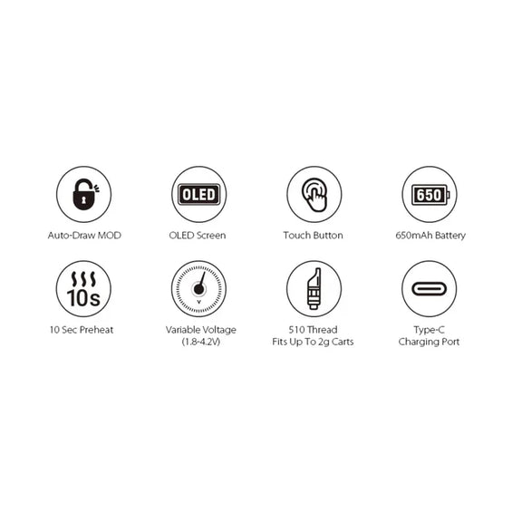 List of features with icons and text on a white background