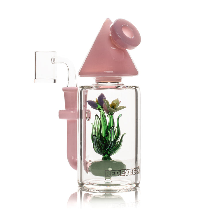 7" Terrarium Concentrate Rig - Trendies Smoke and Vape